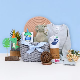 Mighty Mini Gift Set or Baby Boy
