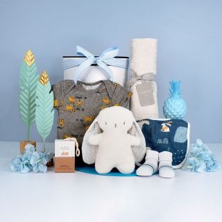 Gift Set for Baby Boy with bunny