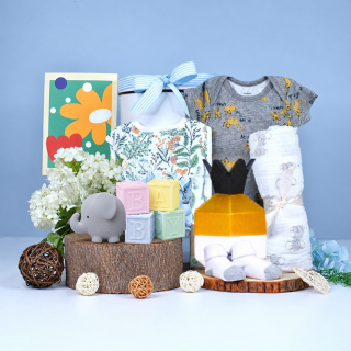 Little Elephant Gift Set for Baby Boy