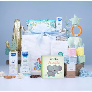 Baby's FIrst Essentials Gift Set