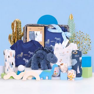 Tiny Dino Treasures Gift Basket for Baby Boy