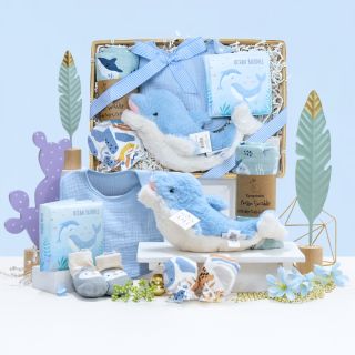 Dolphin Gift Set for Baby Boy