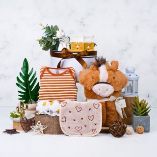 Cozy Comfort Baby Hamper Gift Set