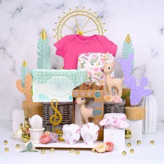 Baby girl hamper delivery