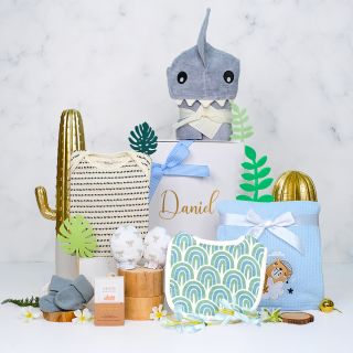 Personalization Wild Gift Set For Baby Boy