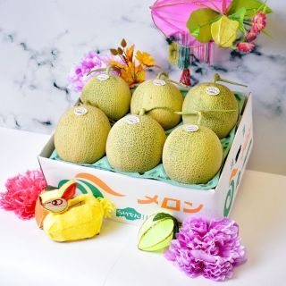 Boxed Japanese Hokkaido Raiden Melon