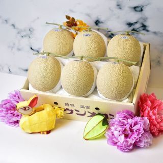 Boxed Japanese Shizuoka Melon