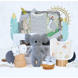 Koala Cuddles Baby Boy Hamper