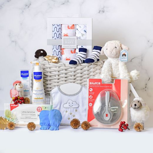 Baby Boy Gift Hampers Gift Hampers Hong Kong