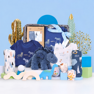 Tiny Dino Treasures Gift Basket for Baby Boy